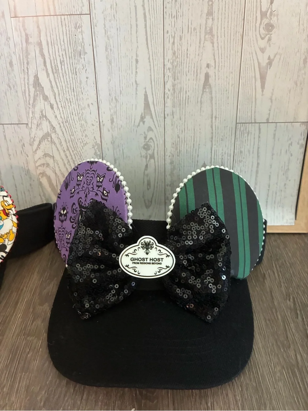 Ghost host visor